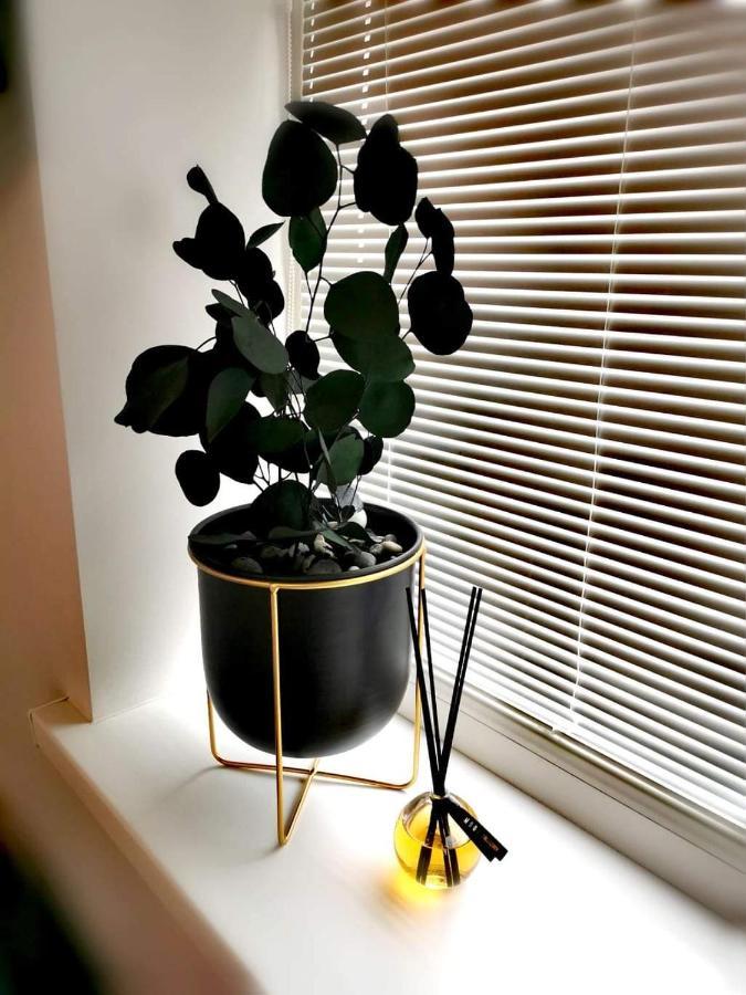 Vyturiai - Nauju Apartamentu Nuoma Sventojoje Šventoji Zewnętrze zdjęcie